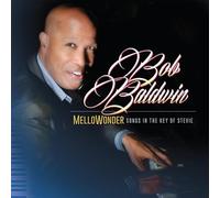 Bob Baldwin - MelloWonder- Songs In The Key Of Stevie [VINYL]