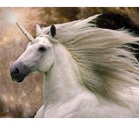 Bob Langrish Unicorn Mini Poster