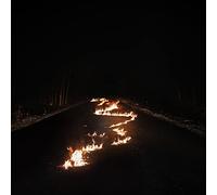 BOB MOSES - BATTLE LINES - CD - M3z
