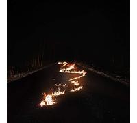 BOB MOSES - BATTLE LINES - Vinyl Record - M3z