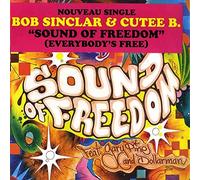 Bob Sinclar - Soundz of Freedom [12" VINYL]