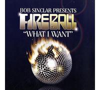 Bob Sinclar - What I Want [12" VINYL]