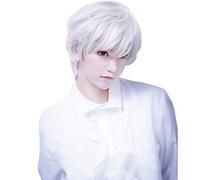 Bob Wigs for Women Wig Guy Band Short Perfect Men Boy Party For Carnivals Short White Adult Wig wig Wig Net (White, One Size)