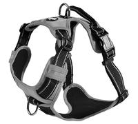 Bobby Rando Walk - Dog Harness, Nylon, Medium, Grey, Safe, Comfortable, Reflective, Adjustable, M/40-63x2 CM