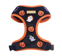 Bobotails Halloween Velvet Dog Harness, No-Pull Design, Adjustable, XXS-Large, Black, Pumpkins Embroidered, Velvet & Corduroy, Machine-Washable (Black, XXS)