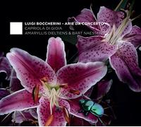 Boccherini: Arie da Concerto