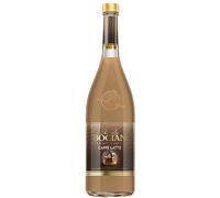 Bocian Caffe Latte - Velvety Smooth and Creamy Coffee Vodka Liqueur, Ideal for Any Occasion, Perfect for Cocktails, Desserts, and Gift Giving 16% ABV 50cl