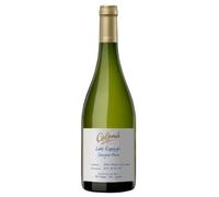 Bodega Colomé `Altura Máxima`, Salta Sauvignon Blanc, WHITE WINE (case of 6x75cl) Argentina/Salta
