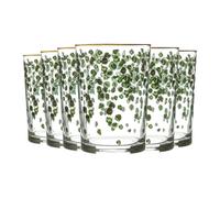 Bodega Decorated Highball Glasses - 520ml - Clear - Pack of 6 LAV Green One Size