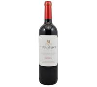 Bodegas Palacio Viña Mayor Ribero Del Duero Crianza - 75cl