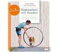 Bodenarbeit mit Hunden: Beschäftigung und Übungen für Geschicklichkeit und Koordination