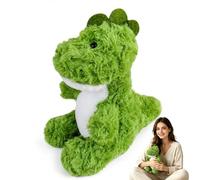 Bodeshis 1 Pcs Dinosaur Teddy, 25 cm Dinosaur Plush Toy for Emotional Comfort,Cuddly Dinosaur Plush Toy, Soft Dinosaur Plush Companion for Daily Relaxation and Home Decoration