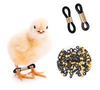 BODHIS 50 Pcs Baby Chick Splay Leg Hobble Chicken Leg Bands Adjustable Hobbling Chicken Hobble Braces for Spraddle Leg Repair Poultry Care Supplies for Chick Bird Quails Ducks Newly Hatched (Black)
