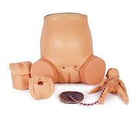 BODHIS Human Model Manikin Teaching Tools,Advanced Midwifery Training Model, Nursing Manikin, Childbirth M