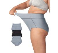 Bodily The All-In Panty, Maternity, Postpartum & C-Section Underwear, High Waisted, Soft, Stretchy for Pregnancy & Postpartum, Black/Slate/Slate, L