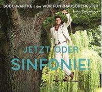 Bodo Wartke & das Wdr Funkhausorchester - Jetzt Oder Sinfonie !