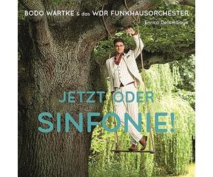 Bodo Wartke & das Wdr Funkhausorchester - Jetzt Oder Sinfonie ! [VINYL]