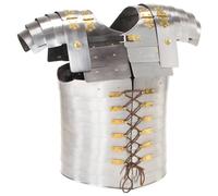 Body Armour Replica LARP Silver Steel Breastplate Cuirass Multi Models vidaXL