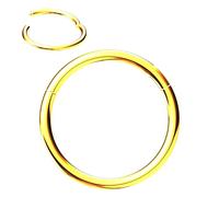 Body CAC Titanium 20Gx7mm Clicker Nose Ring Hypoallergenic Tiny Tragus Cartilage Earring,Implant Grade Clasp Segment Sleeper Seamless Helix Piercing Titanium Gold Ring