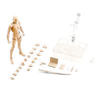 Body Kun Action Figures, Action Figure Drawing Model, Drawing Figure Models for Artists, Kun DX And Body, PVC Body Kun and Body Set