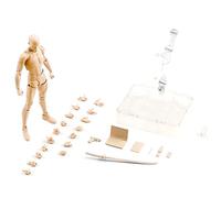 Body Kun Action Figures, Artists Manikin Action Figure Drawing Model, Art Models Figure Drawing Pose Reference, Drawing Figure Poseable, PVC Mannequin Model for Sketching, Painting, Drawing