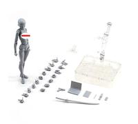 Body Kun Action Figures, Body Kun DX Set, Ody Action Figures, Drawing PVC Model Sets (Male/Female) As Drawing Mannequins & Collectible Toys Figure Model Mannequin Figure Models