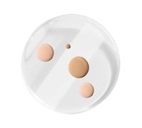 Body Lotion Applicator Sun Cream Application Pad | Silicone aid tool for women, women and girlfriends for the care of face, legs, feet and as a shower scrub