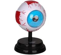 Body Model Eye Ball Anatomy Model Eye Anatomical Model Detachable Human Organ Model for Educational Teaching Model Lab Equipment Study Teaching Medical Teaching Medical Gift