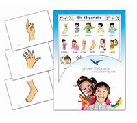 Body Parts Flashcards in German - Bildkarten - Körperteile