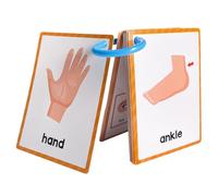 Body Parts Flashcards - Set with English Vocabulary Cards for Children, Language Development Cards, Educational Picture Cards Set with 15 Flashcards for Preschool, Primary School, Home, Language