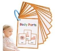 Body Parts Learning Cards,Flash Cards on Body Parts,Pocket Card English 15pcs Flash Card Body Parts Flash Card | Vocabulary Educational Words Memory Card