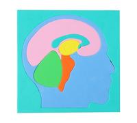 Body Parts Puzzle - Eva Brain Science, Human Puzzle with Experiment Supplies, Human Puzzles Model, Boys Girls Kids Details, Fun Learning Humans Body Toys for Home School Indoor