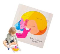 Body Parts Puzzle | Human Body Puzzle For Kids 3-5,Learning Creative Realistic Skeleton Jigsaw Set For Biology Class Preschool Classroom Kindergarten Science