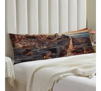 Body Pillow Cover 20x54 Soft Breathable Pillowcase Hidden Zipper Cozy Protector Microfiber San Francisco Long Pillow Case for Bed Couch Sofa Home Office Decoration All Seasons