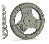 Body Revolution Cast Iron Weight Plates - 2 X 5 Kg