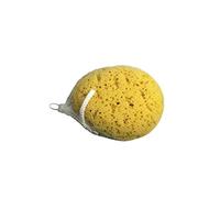 Body Sponge
