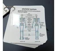 (body system) Human Body Systems Anatomy Flashcards | Comprehensive Medical & Nursing Study Guide | Detailed Anatomy Charts | Perfect Gift for Students