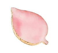 BODYA Leaf Shaped Resin Nail Art Palette Gel Polish Color Mixing Pallet Nail Drawing Paint Plate Display Tray DIY Manicure Tool for painting, Placing Things, Making Nail