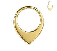 BodyAce 16G Septum Rings Nose Hoop, 316L Stainless Steel Segment Septum Clicker for Men Women, Gold Moon Cartilage Earrings for Daith, Rook, Tragus [Gold Triangle;Hoops:8mm]