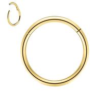 BodyAce 1pc Titanium Hoop Rings for Piercings, Helix Tragus Earrings Hoop Nose Rings 20G 18G 16G Lip Rings, Stainless Steel Sleeper Hinged Huggie Hoops (Gold, 18G, Hoops:14mm)