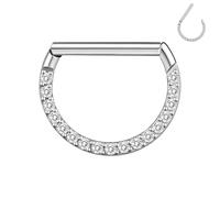 BodyAce F136 Titanium Septum Rings D Shaped Nose Ring Hoops 16G Cartilage Earrings Higned Segment Clicker for Rook Daith Conch Helix Tragus Piercing Jewelry, 8 mm, Titanium Cubic Zirconia, cubic