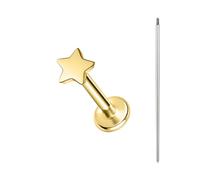 BodyAce Gold ASTM F136 Titanium Lip Bars, 16G Flat Back Earrings with Piercing Taper, Internally Threaded Labret Ring Cartilage Piercing Tragus Studs [Gold Star]