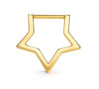 BodyBonita 16G Straight Septum Rings, 316L Surgical Steel D Shaped Septum Jewelry, Star Nose Rings Hoops Clicker, Helix Tragus Rook Daith Piercings for Women Men 14K Gold Plated 8 mm