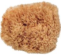 BodyCare Sea Sponge, 12.5-14cm, Exfoliating Sponge for The Most Sensitive and Delicate Skin. A Natural Unbleached Sponge, Sustainibly Harvested in Plastic-Free Packaging