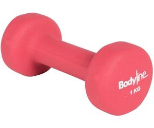 Bodyline Handlebar Cast Iron Shockproof kg.1
