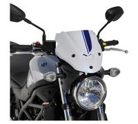 Bodystyle Headlight Fairing painted or unpainted