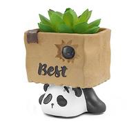 Boerni Adorable Resin Panda Pen Holder,Mini Animal Succulent Cactus Flower Plant Pot Pencil Holder Pot Organizer Cartoon Pen Container Makeup Brush Holder for Kid Office Desktop Stationery Gift
