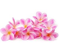 Boerni Bunch of 10 PU Artificial Plumeria Hawaiian Flower,Real Touch Lifelike Fake Flower Bouquet Hawaii Lei Frangipani for Wedding Summer Aloha Tiki Party Home Cake Decoration(Light Purple+White)