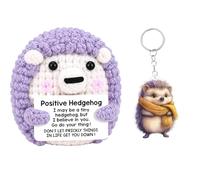 BOFYTR Positive Crochet Hedgehog Gifts, Desk Decor Set, 2 Items Bundle