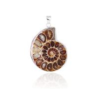 BOGEEL Natural Ammonite s Pendant Jewelry Silver Tone Ammonite s Stone Wrapped Pendant Necklace Fashion Jewelry